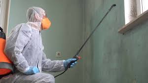 Best Forensic Mold Investigation  in Depew, NY